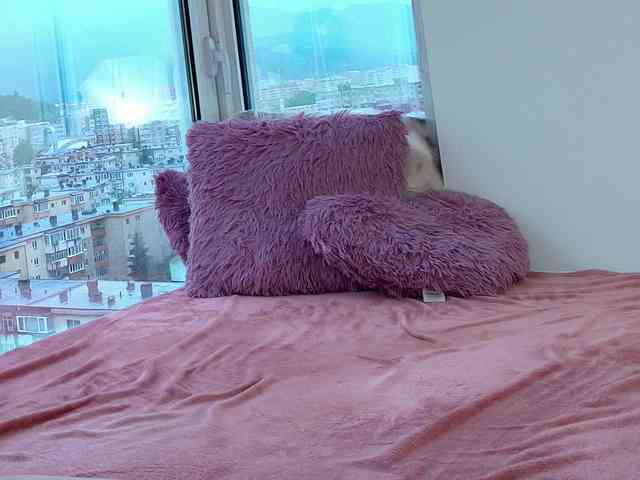 CrystalDomme webcam