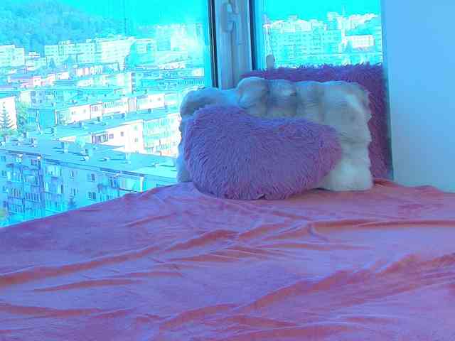 CrystalDomme webcam
