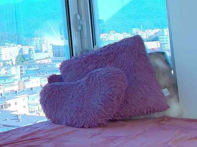 CrystalDomme webcam