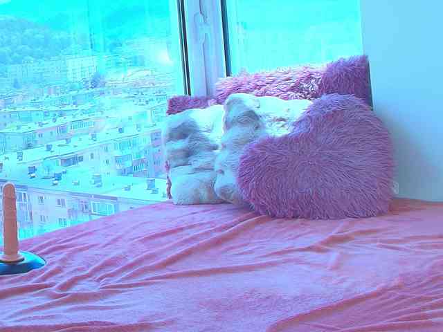 CrystalDomme webcam