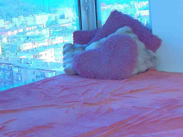 CrystalDomme