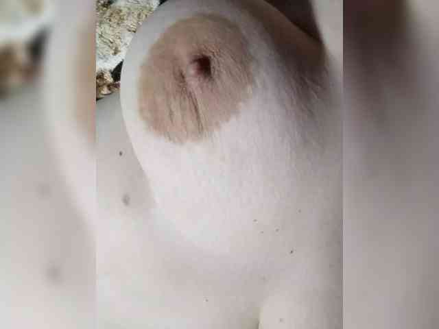 Dariy27 webcam