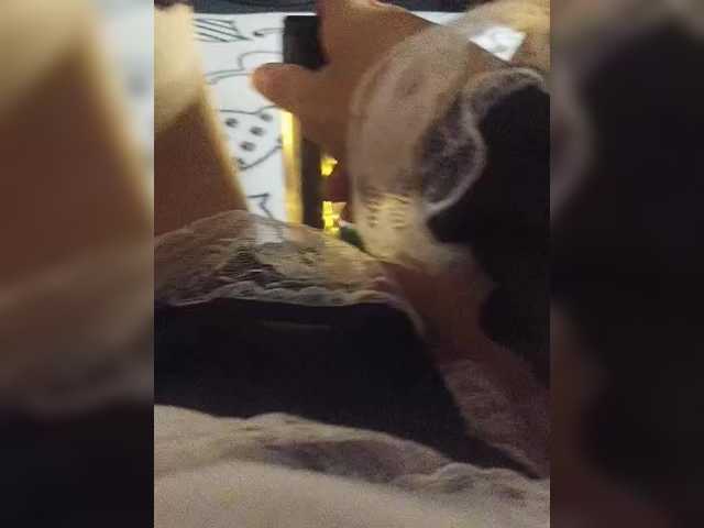 Grex007