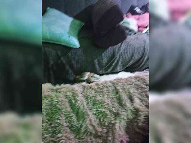 Grex007 webcam