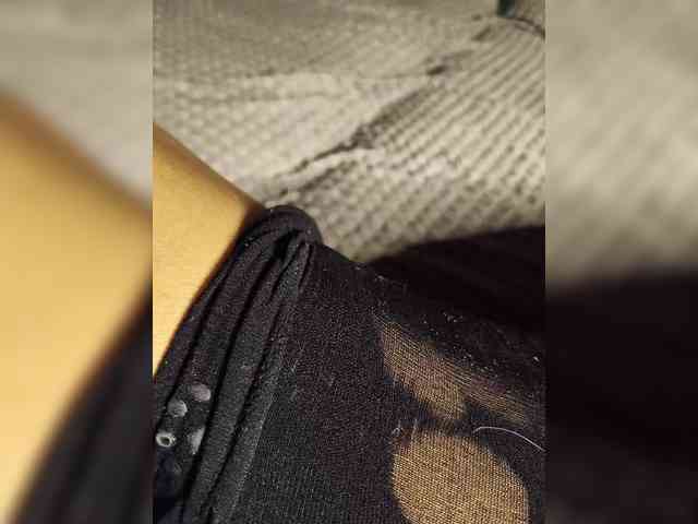 Grex007