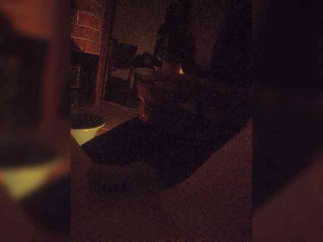 Grex007 webcam
