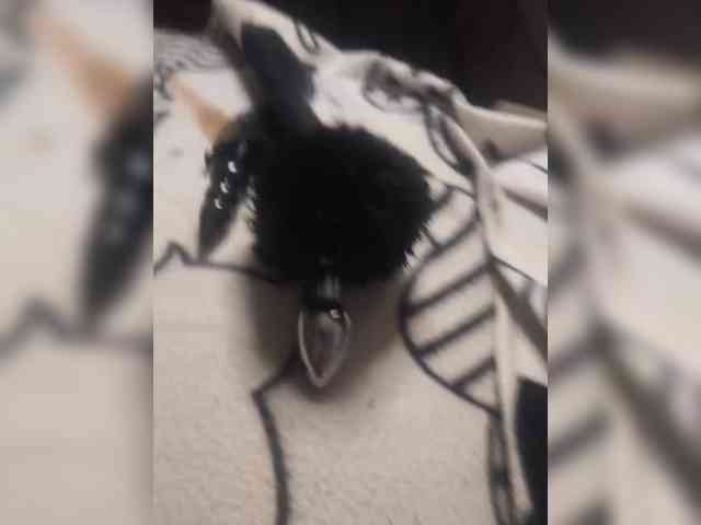 Grex007 webcam
