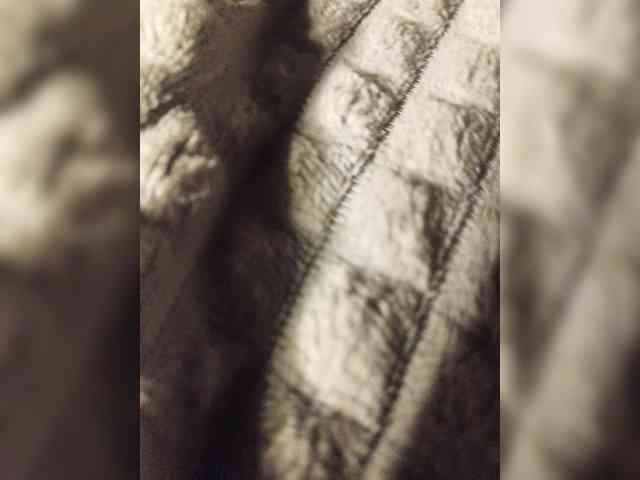 Grex007