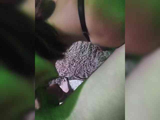 Grex007