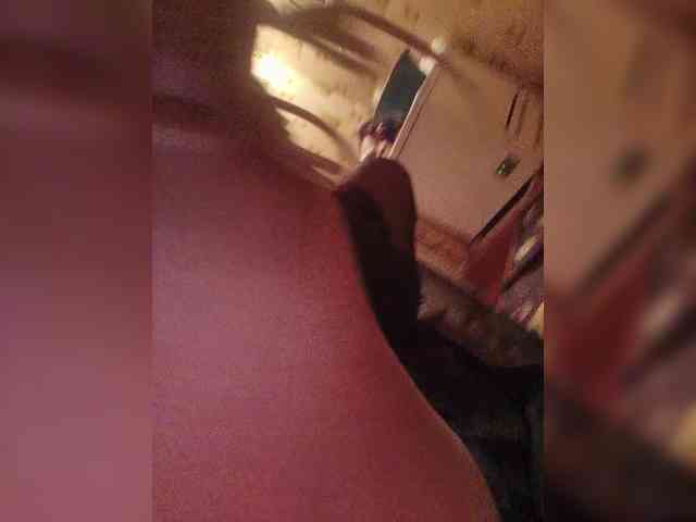 Grex007