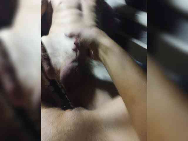 Grex007