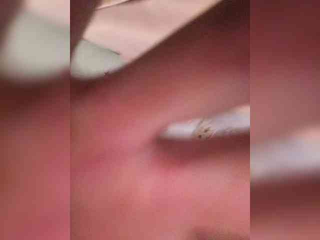 Grex007 webcam