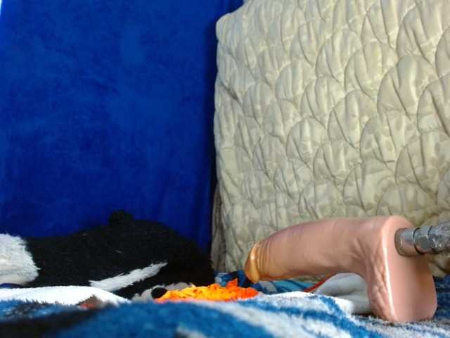 kattislutt77 live cam on BongaCams