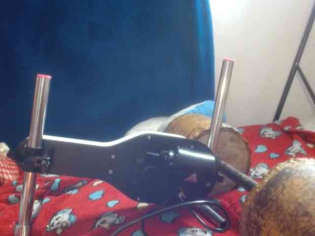 kattislutt77 webcam
