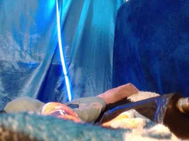 kattislutt77 webcam