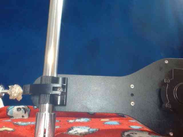 kattislutt77 webcam