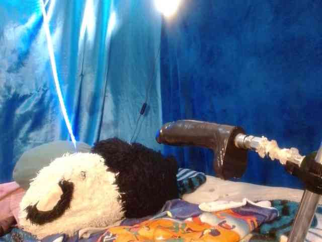 kattislutt77 webcam