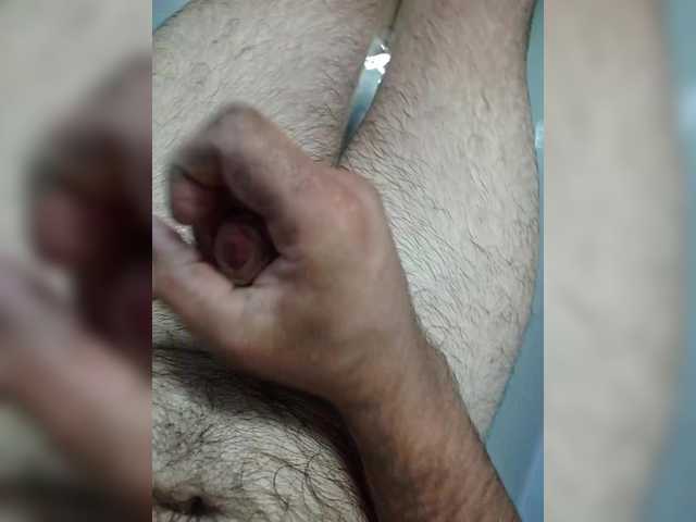 Alex229236