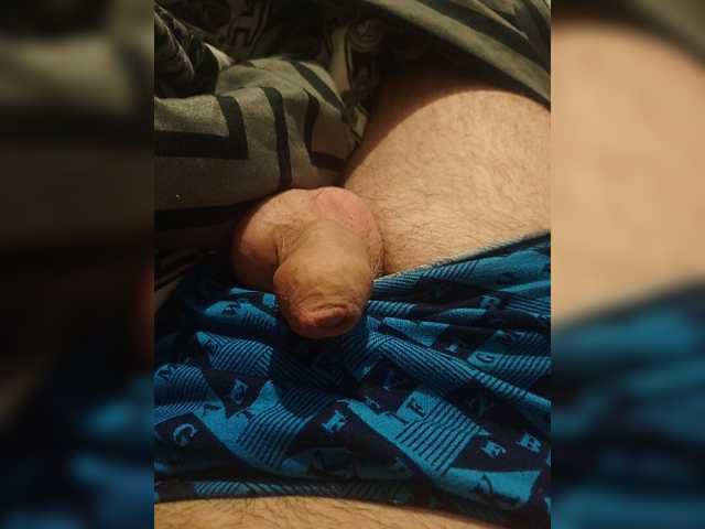Alex229236