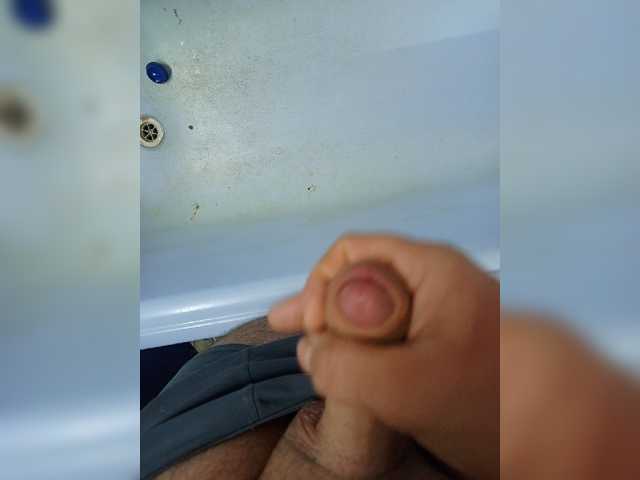 Alex229236