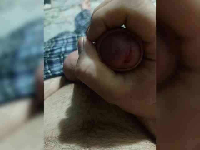 Alex229236