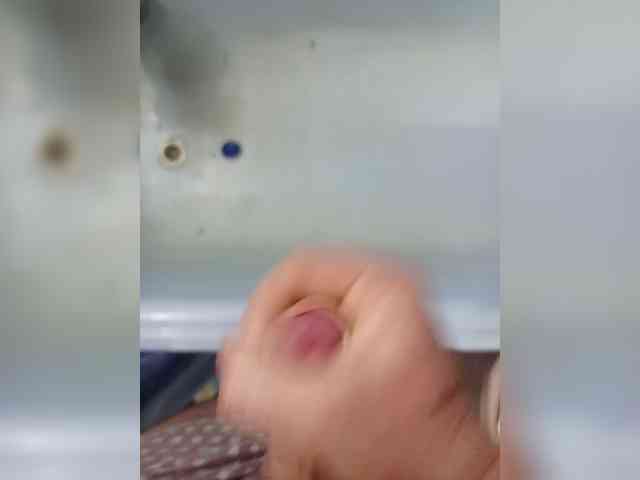 Alex229236 Alex229236