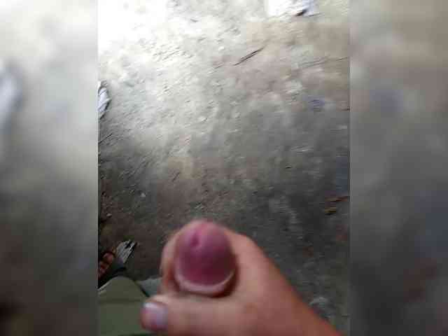 Alex229236 Alex229236