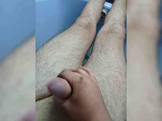 Alex229236