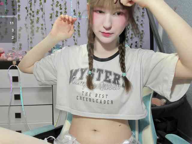Mikka-Mi webcam