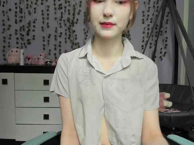 Mikka-Mi webcam