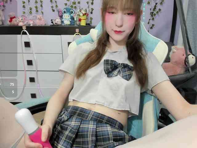 Mikka-Mi webcam