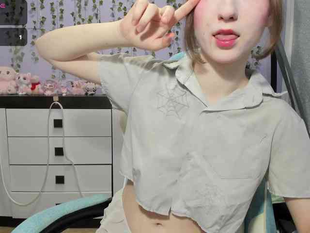 Mikka-Mi webcam