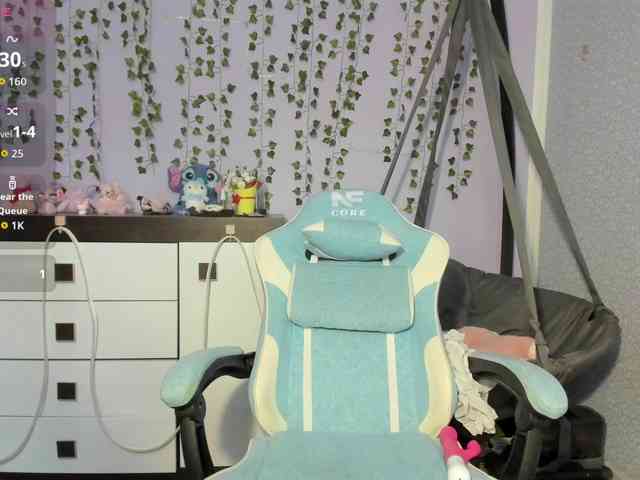 Mikka-Mi webcam