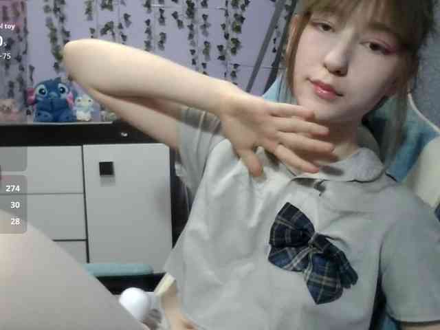 Mikka-Mi webcam