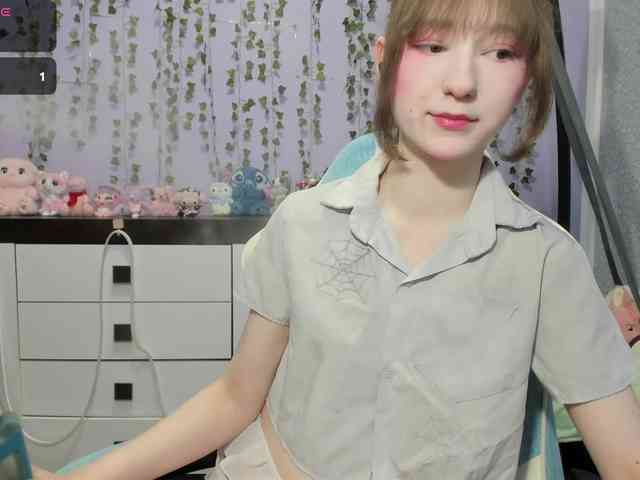 Mikka-Mi webcam