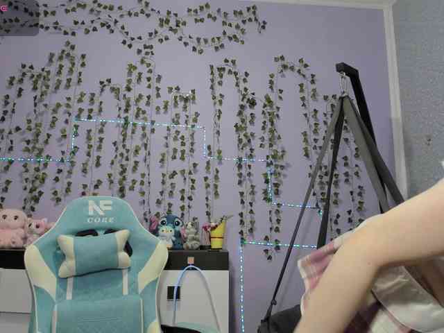 Mikka-Mi webcam