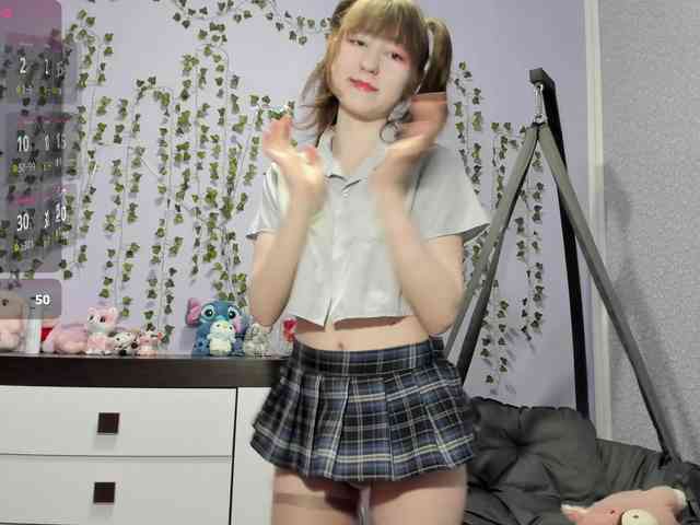 Mikka-Mi webcam