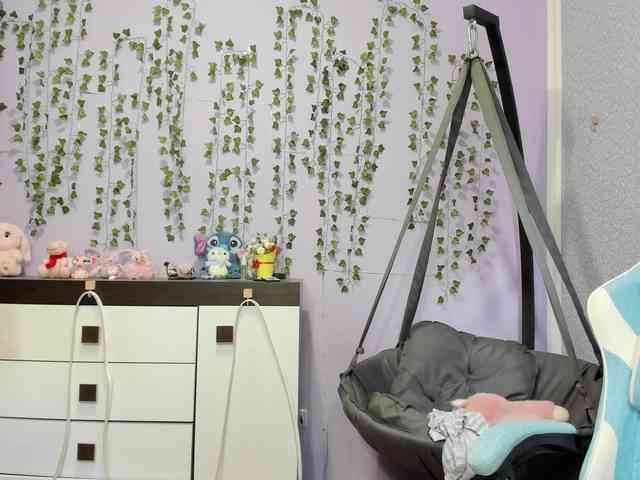 Mikka-Mi webcam