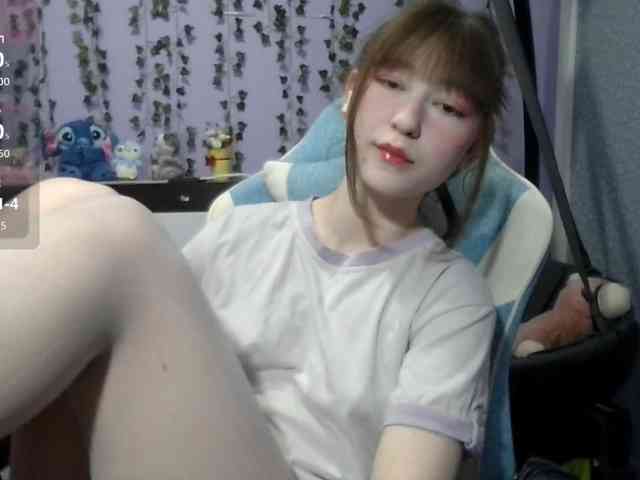Mikka-Mi webcam