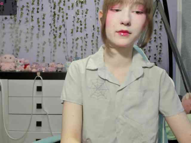 Mikka-Mi webcam