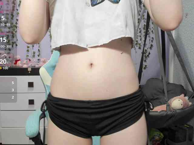 Mikka-Mi webcam