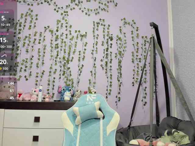 Mikka-Mi webcam