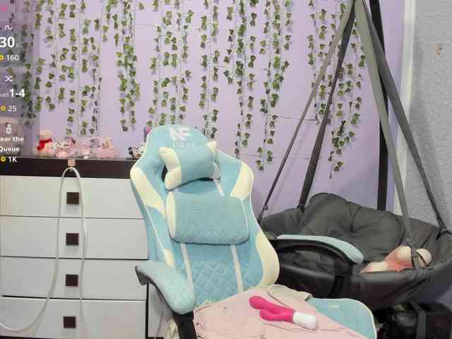 Mikka-Mi webcam