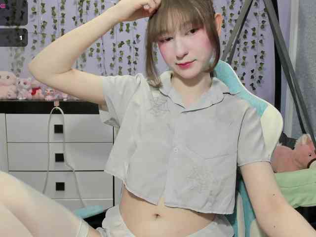 Mikka-Mi webcam