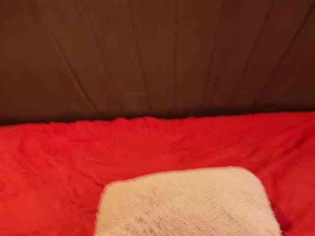 online sex chat Lexa-28-