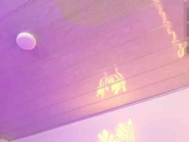 cristalbroke-tay webcam