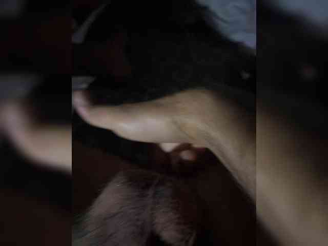 Drochun99