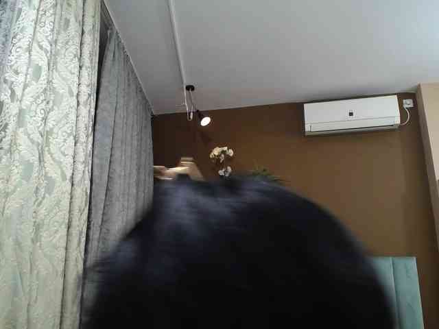 ValerieSmiths webcam
