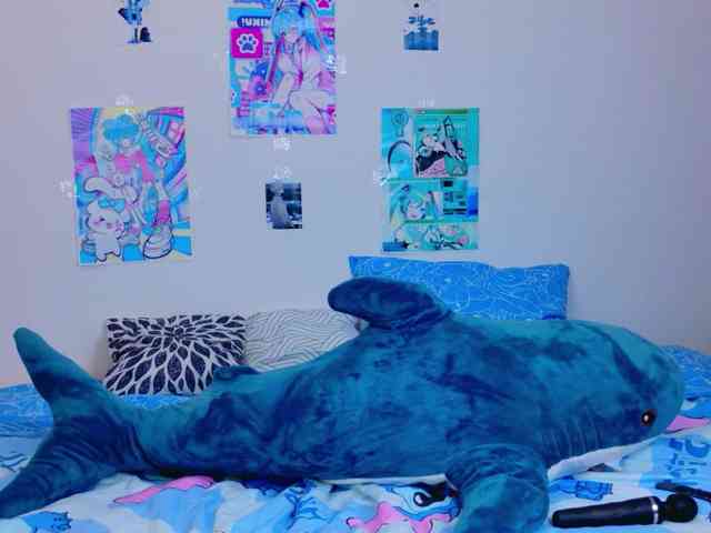 BattyNight webcam