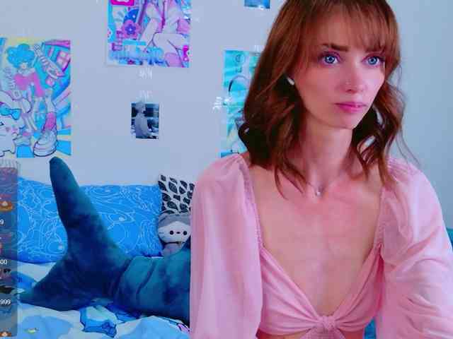 BattyNight webcam